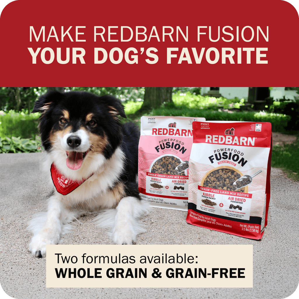 Dog Food product image 16