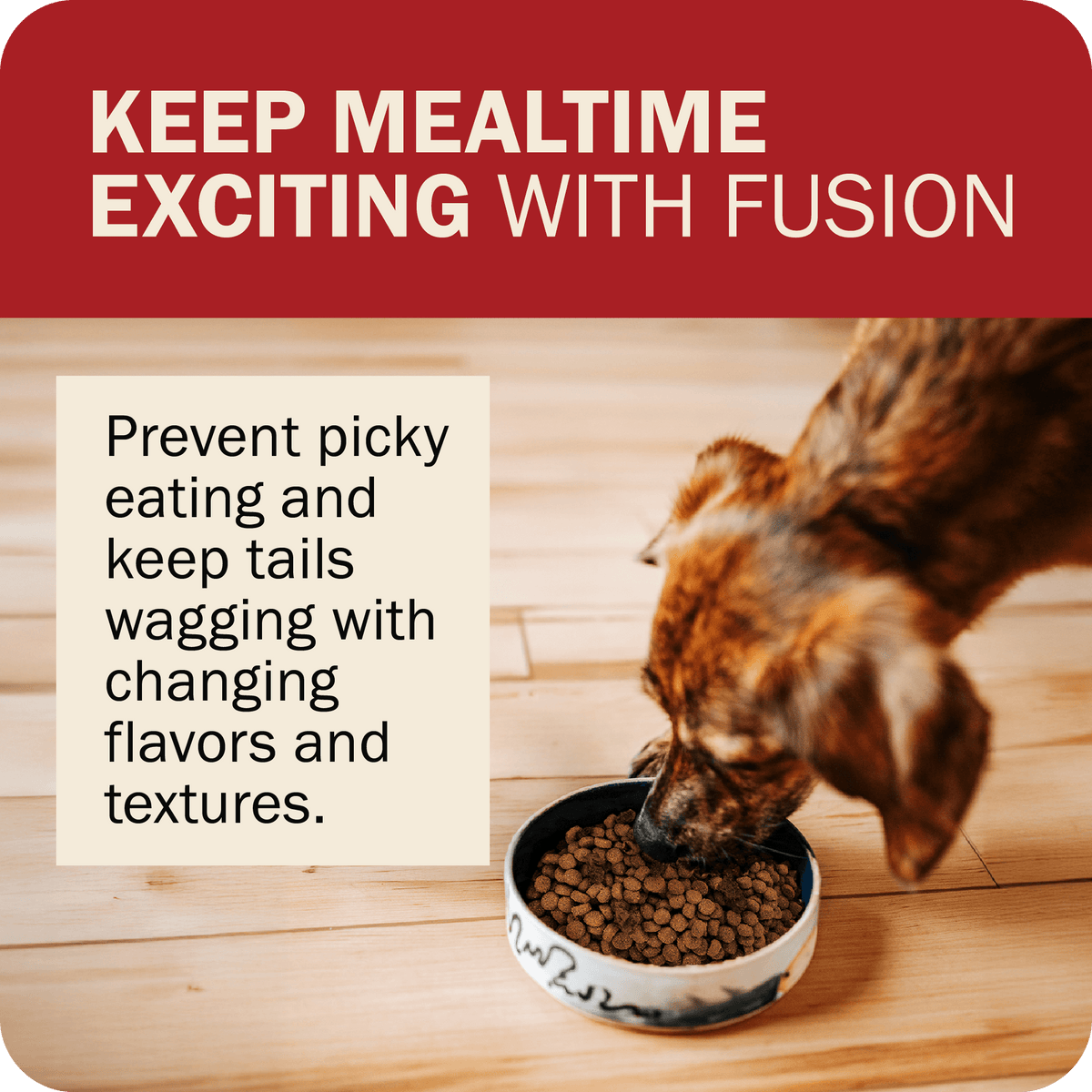 Dog Food product image 18