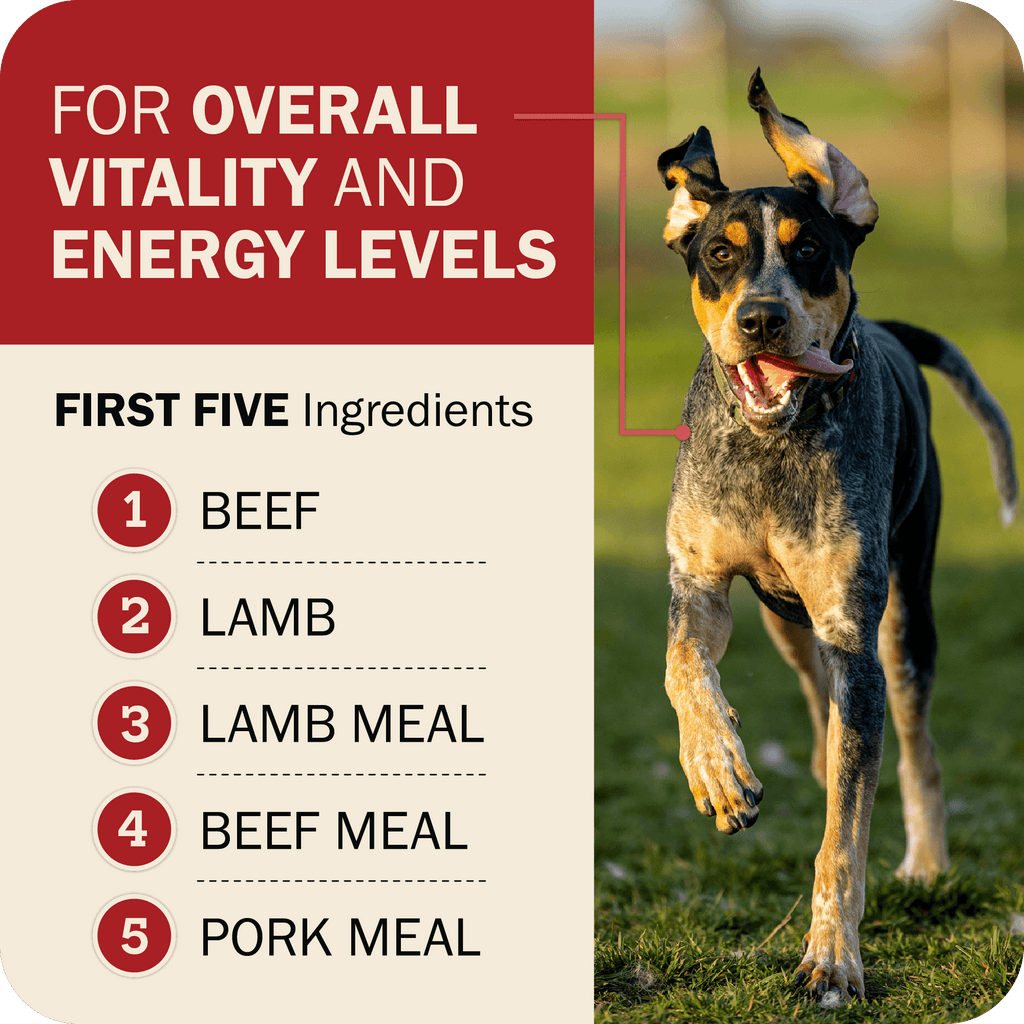 Dog Food product image 20