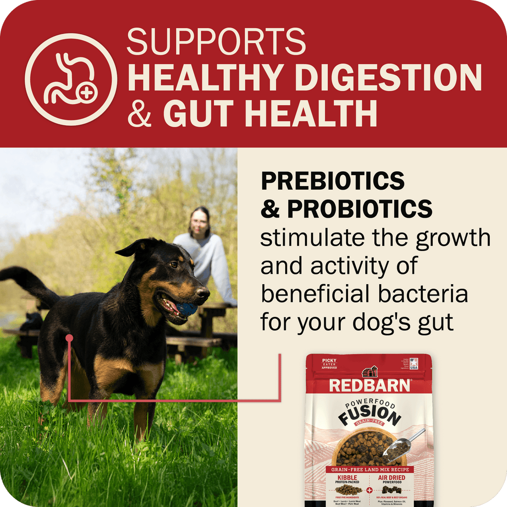 Dog Food product image 21