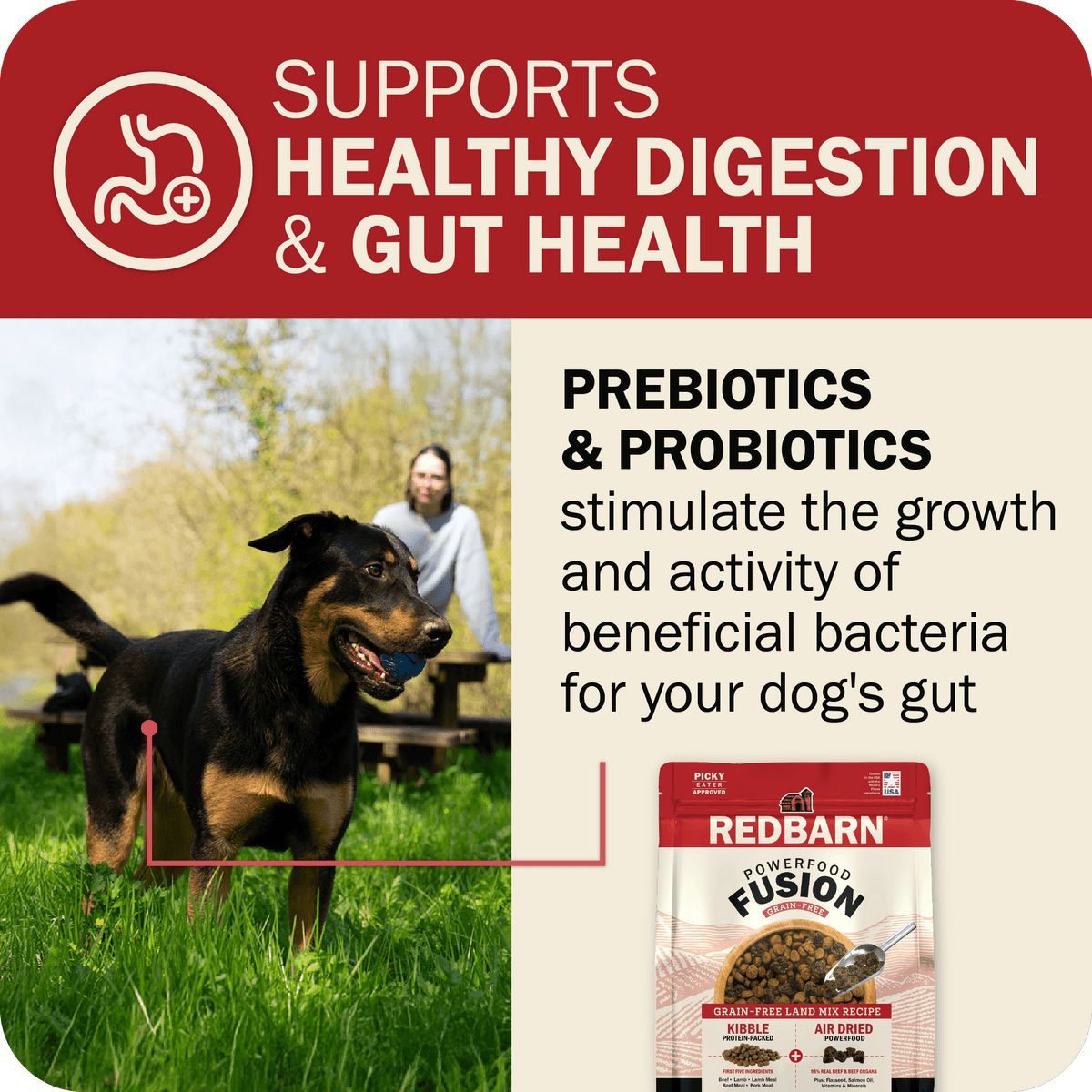 Dog Food product image 21