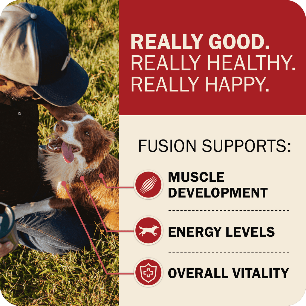 Dog Food product image 22