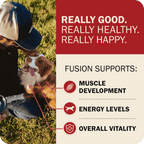 Dog Food product image 22