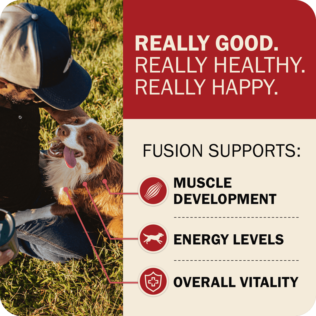 Dog Food product image 22