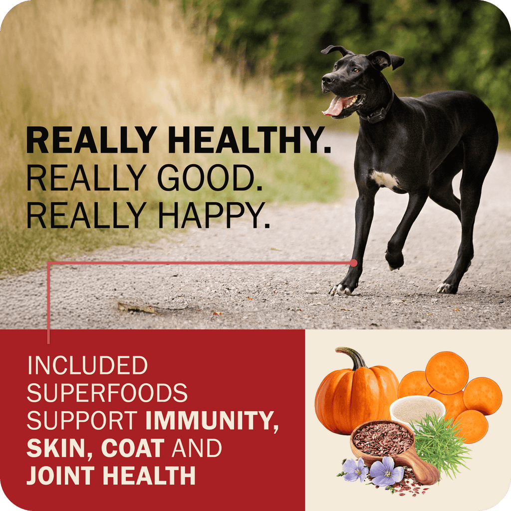 Dog Food product image 23