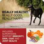 Dog Food product image 23