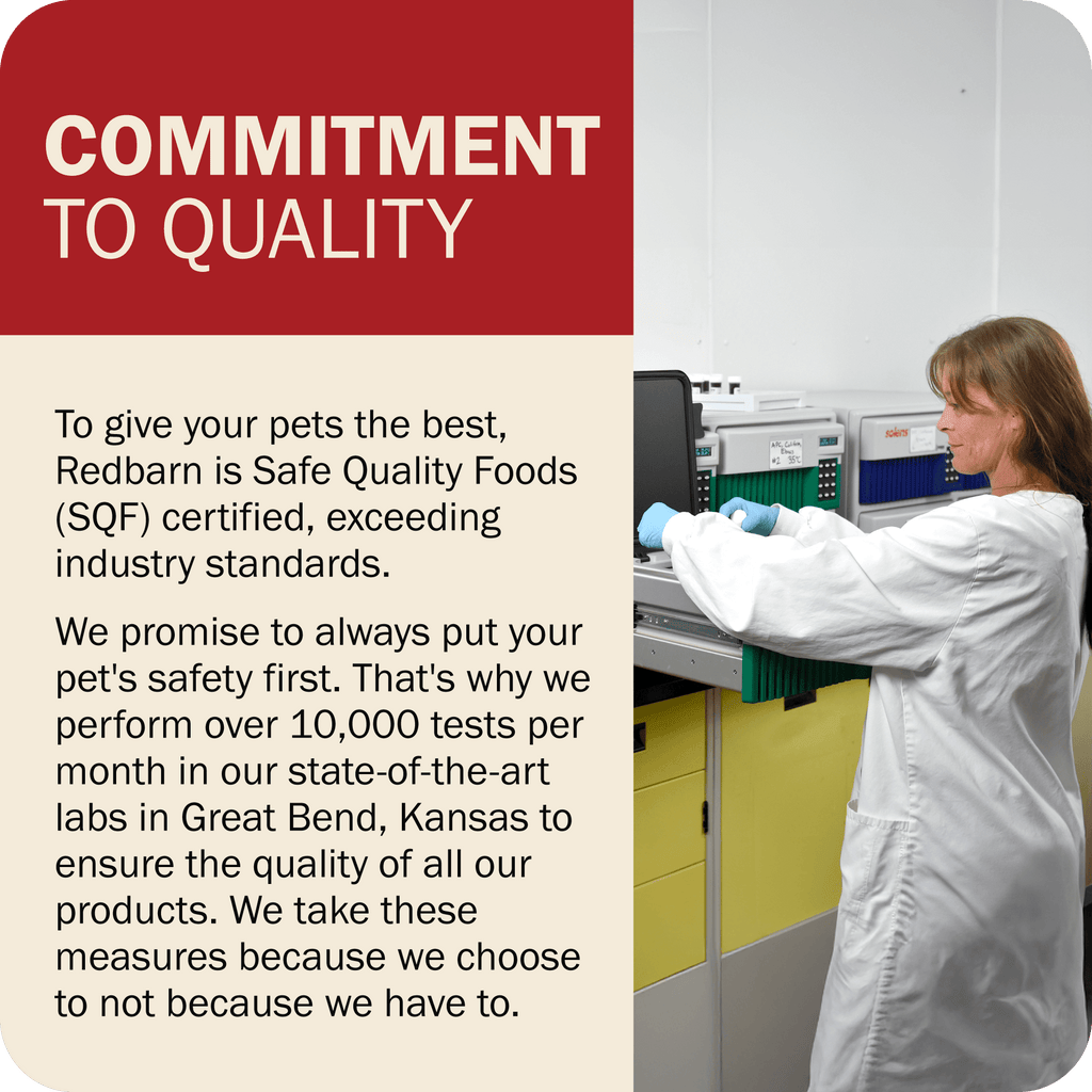 Dog Food product image 24