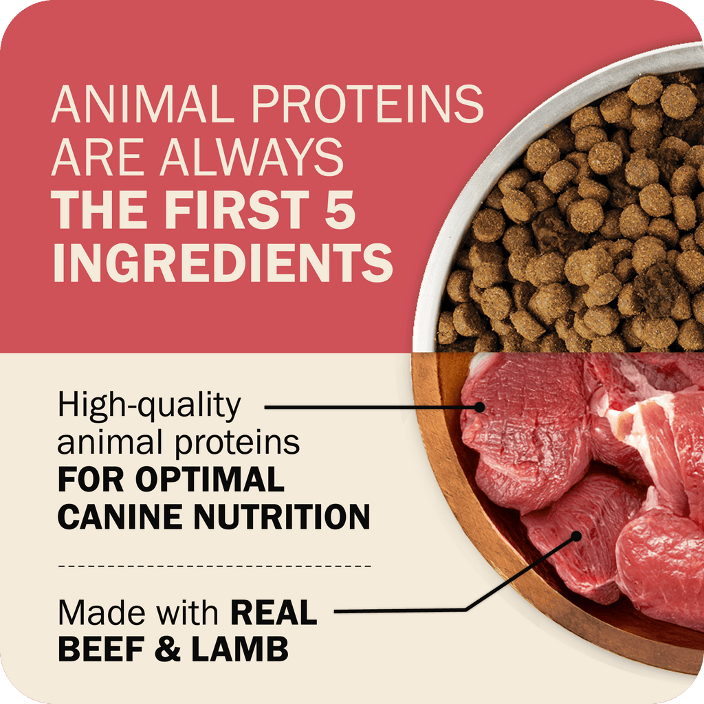 Whole Grain Dog Food product image 5