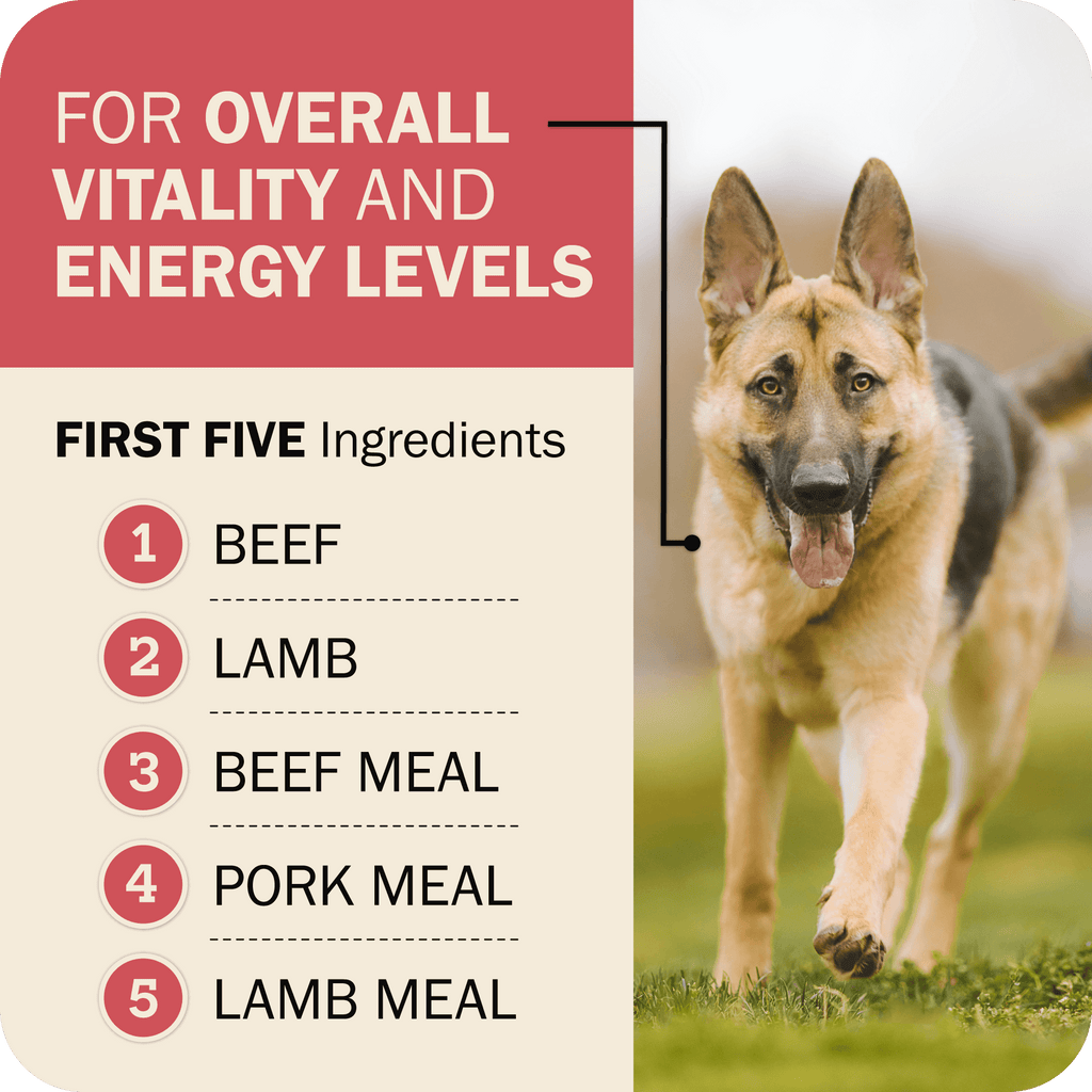 Whole Grain Dog Food product image 6