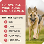Whole Grain Dog Food product image 6
