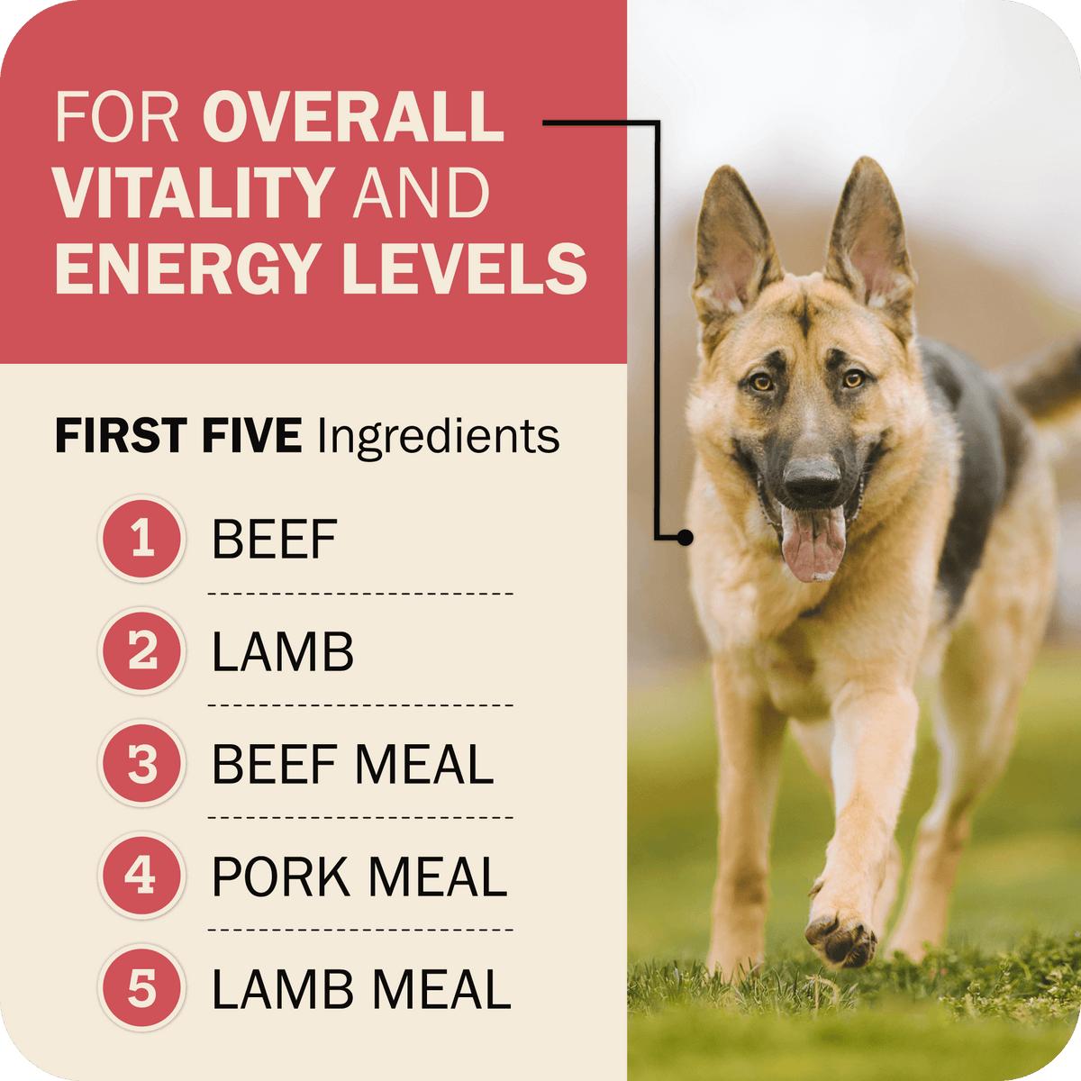 Whole Grain Dog Food product image 6