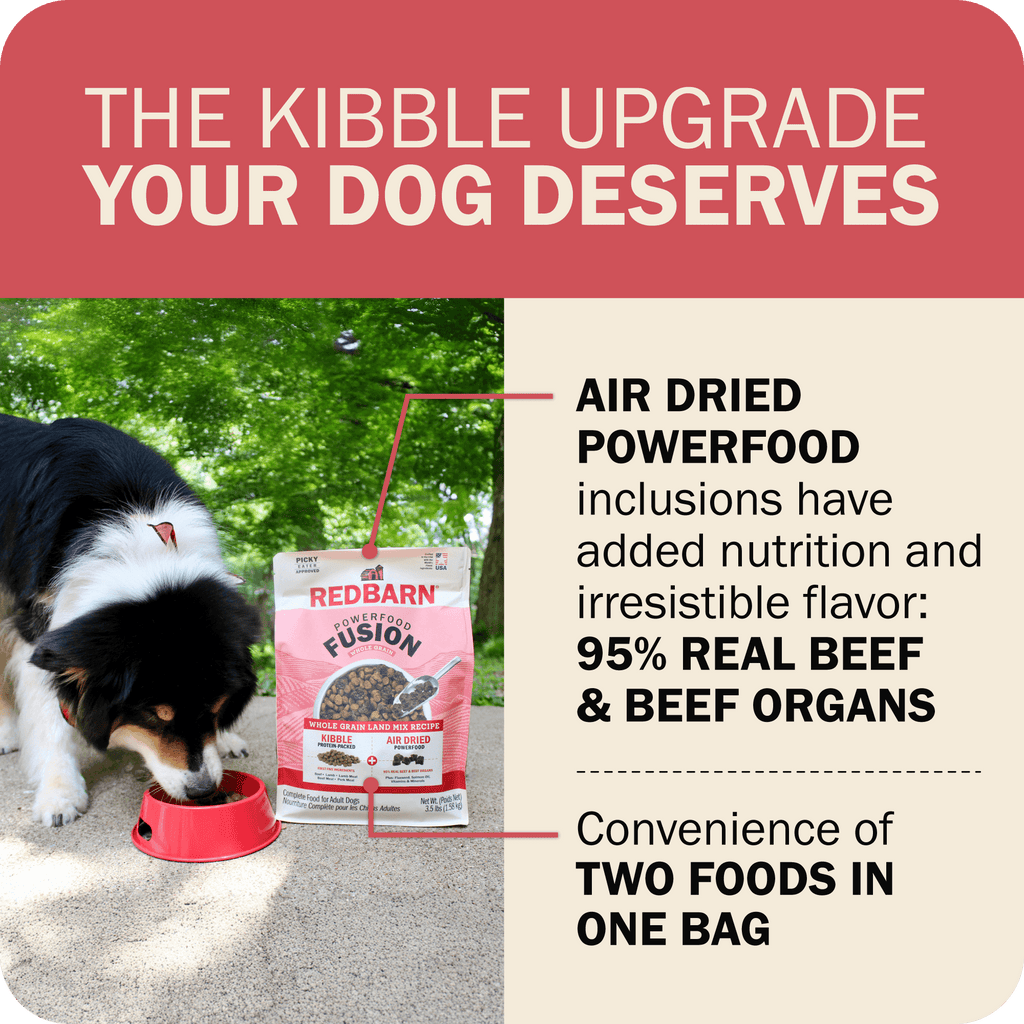 Whole Grain Dog Food product image 7