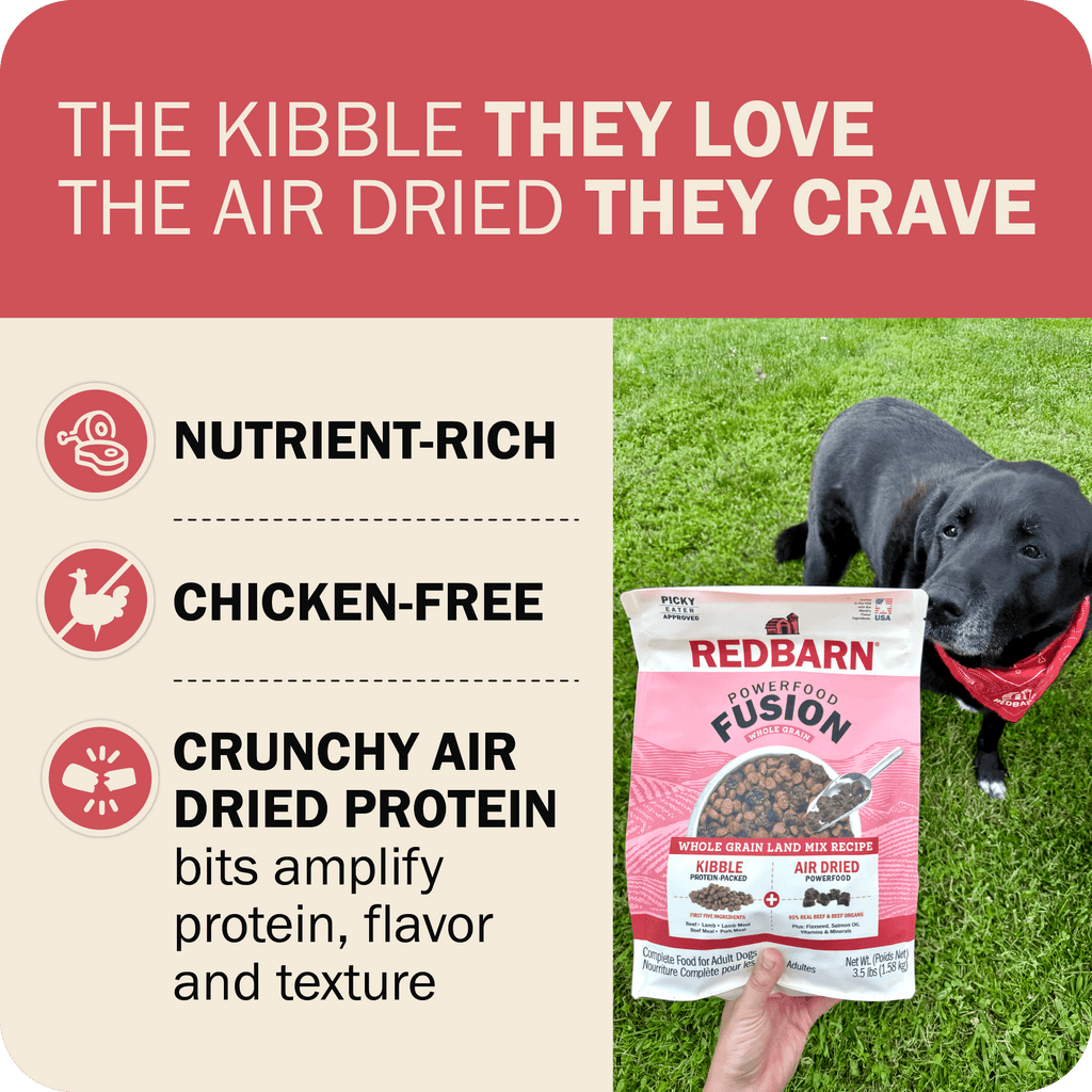 Whole Grain Dog Food product image 8