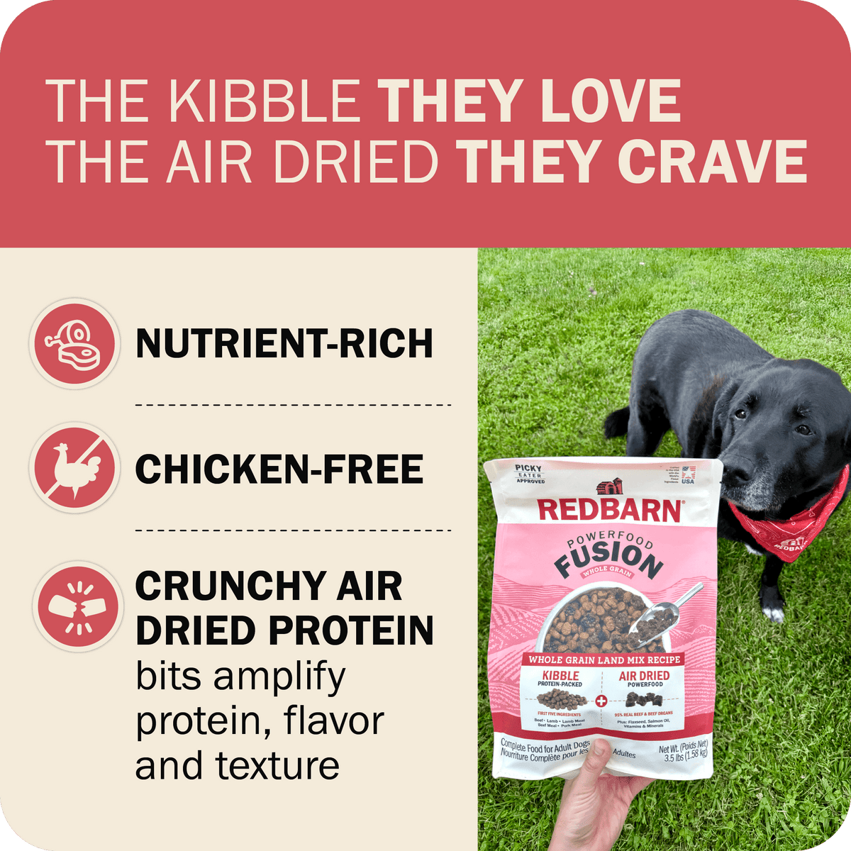 Whole Grain Dog Food product image 8
