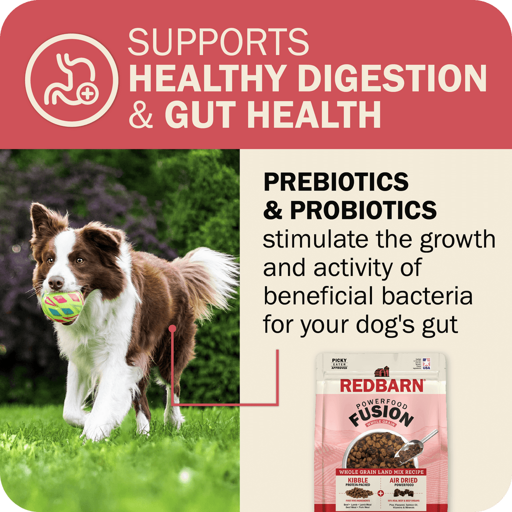 Whole Grain Dog Food product image 10