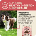 Whole Grain Dog Food product image 10