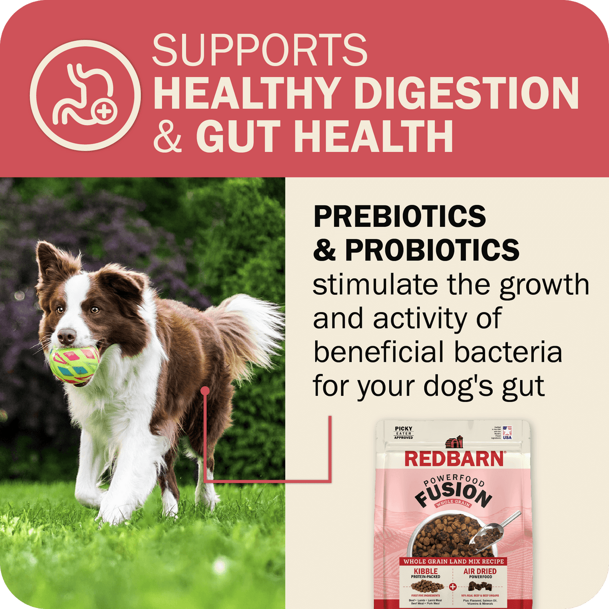 Whole Grain Dog Food product image 10