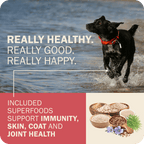 Whole Grain Dog Food product image 11