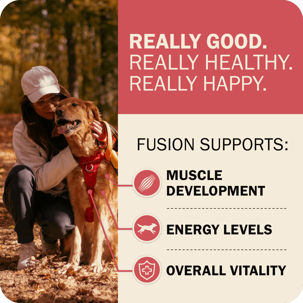Whole Grain Dog Food product image 12