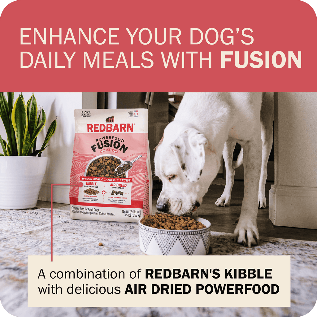 Whole Grain Dog Food product image 13