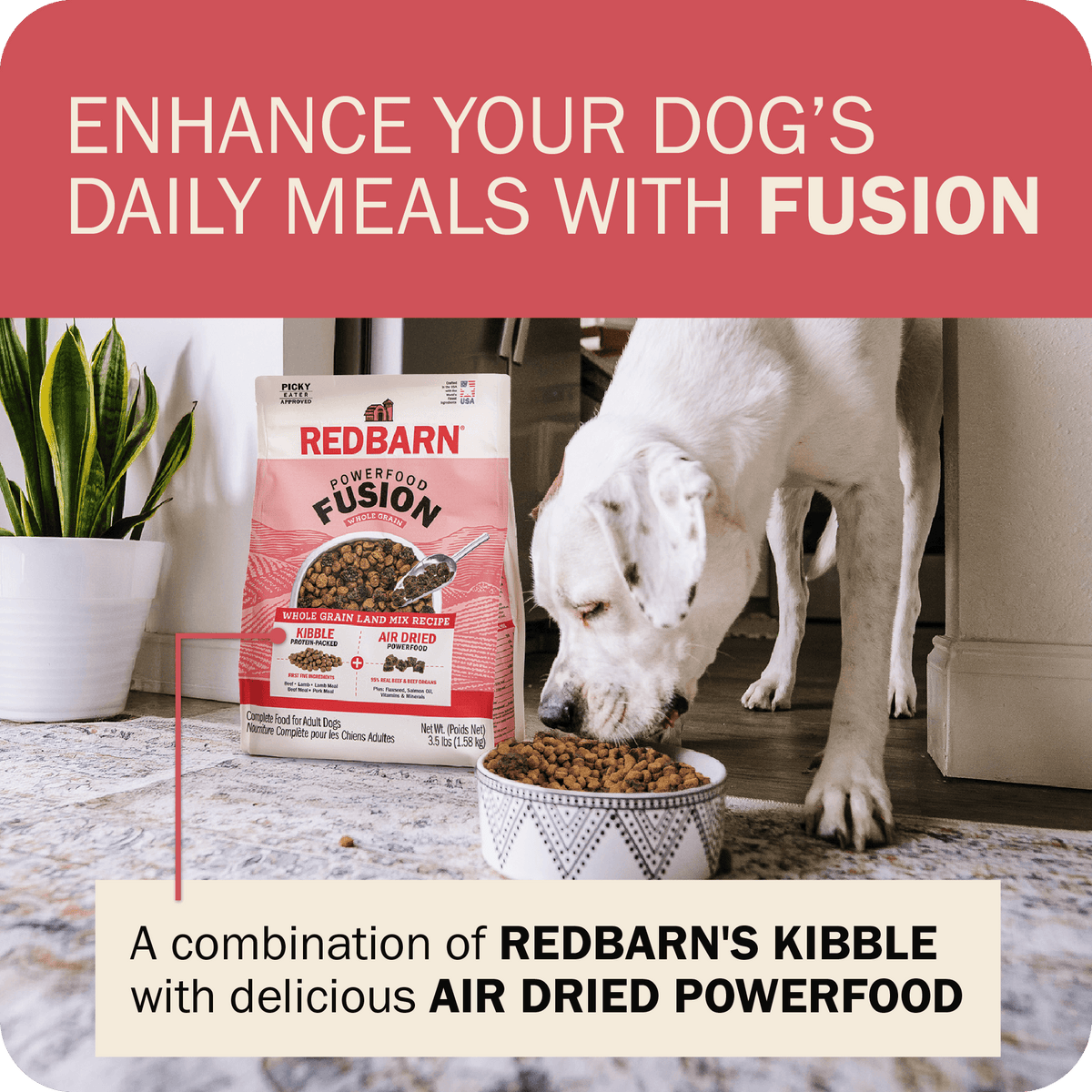 Whole Grain Dog Food product image 13