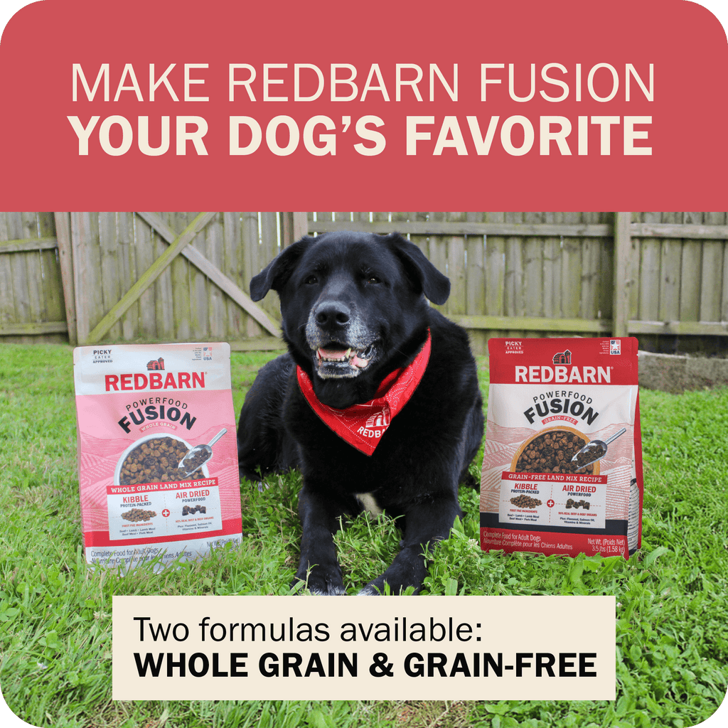 Whole Grain Dog Food product image 14