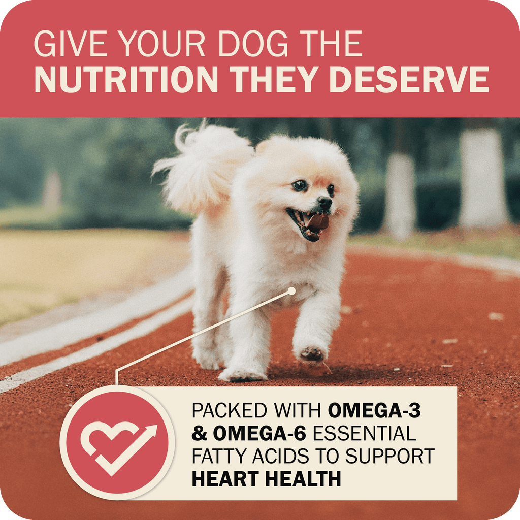 Whole Grain Dog Food product image 15