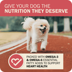 Whole Grain Dog Food product image 15