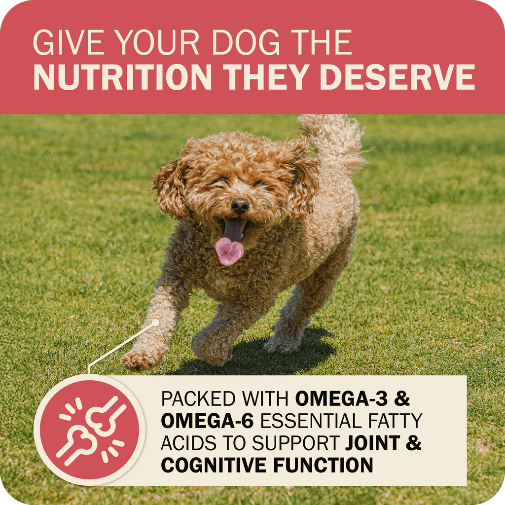 Whole Grain Dog Food product image 16