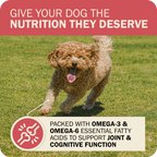 Whole Grain Dog Food product image 16