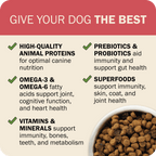 Whole Grain Dog Food product image 17