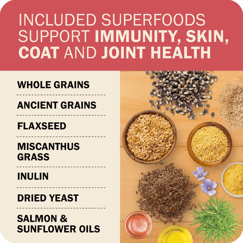 Whole Grain Dog Food product image 18