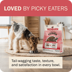 Whole Grain Dog Food product image 19