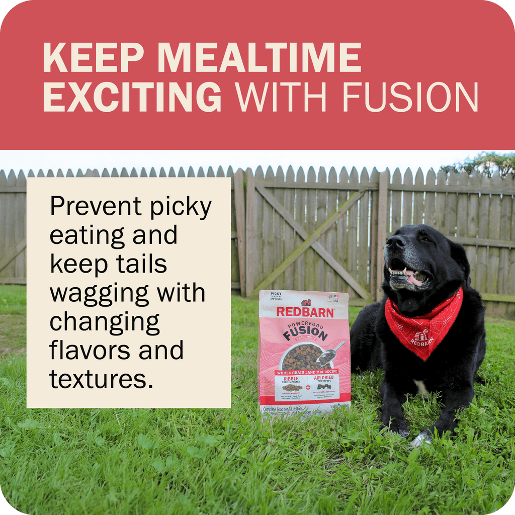 Whole Grain Dog Food product image 20