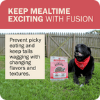 Whole Grain Dog Food product image 20