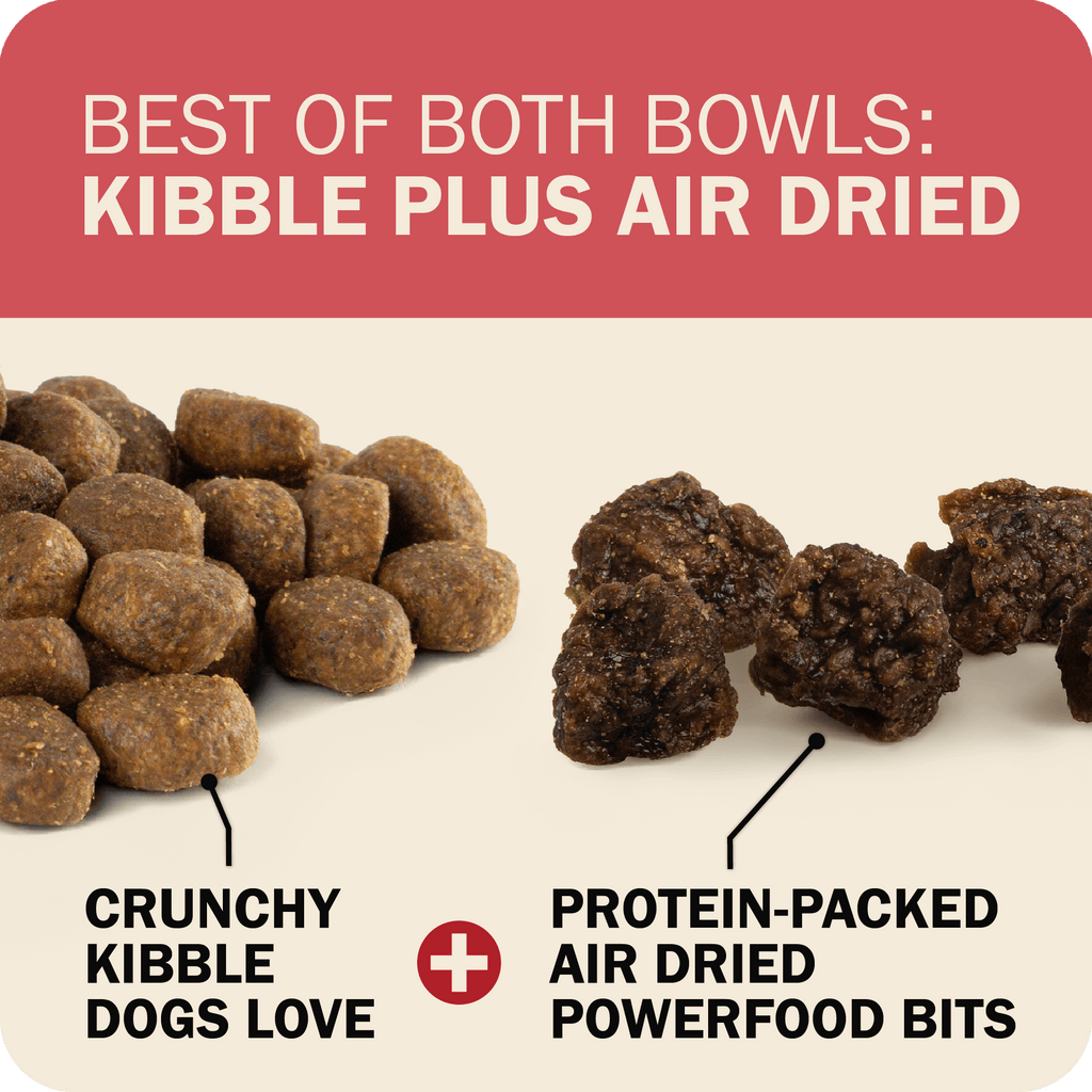 Whole Grain Dog Food product image 21