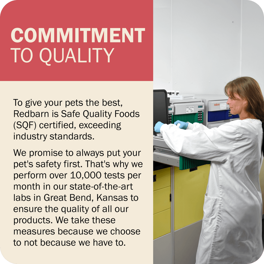 Whole Grain Dog Food product image 25