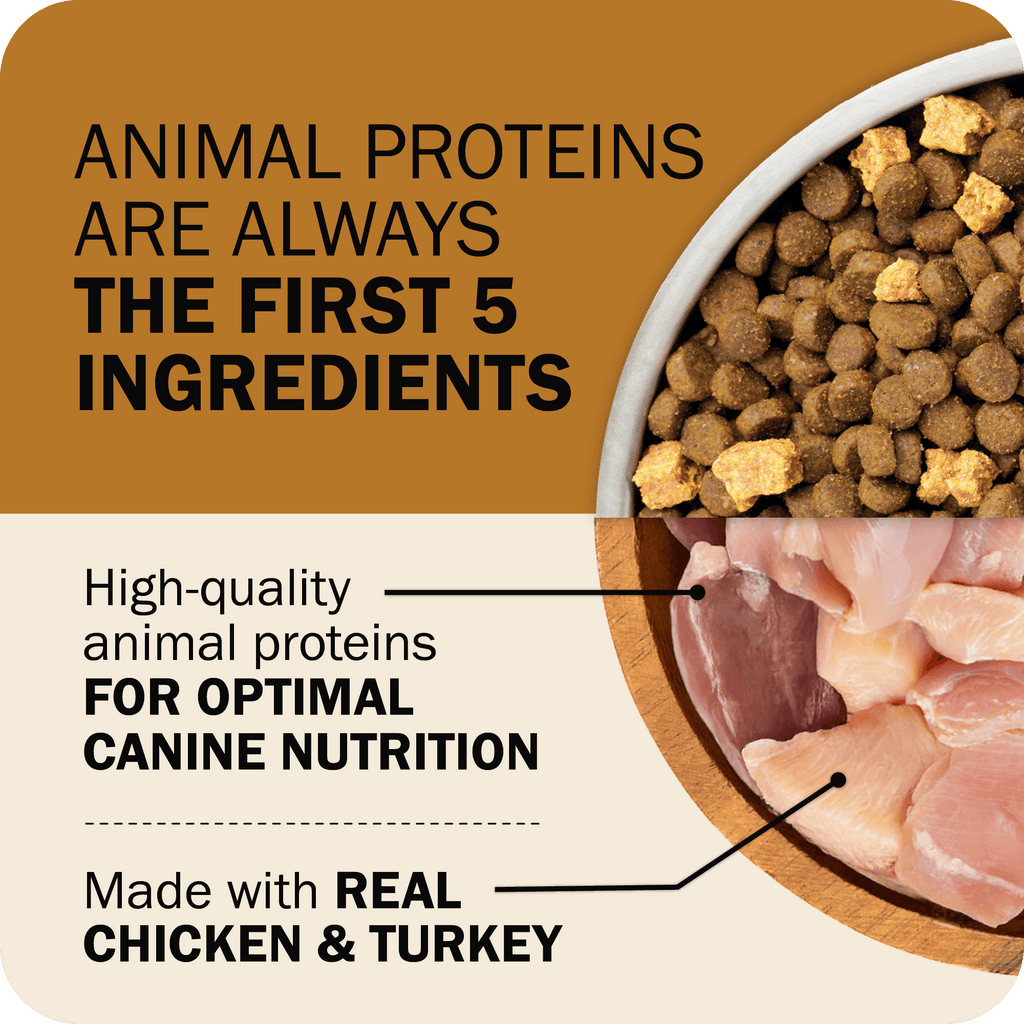 Grain-Free Dog Food product image 2