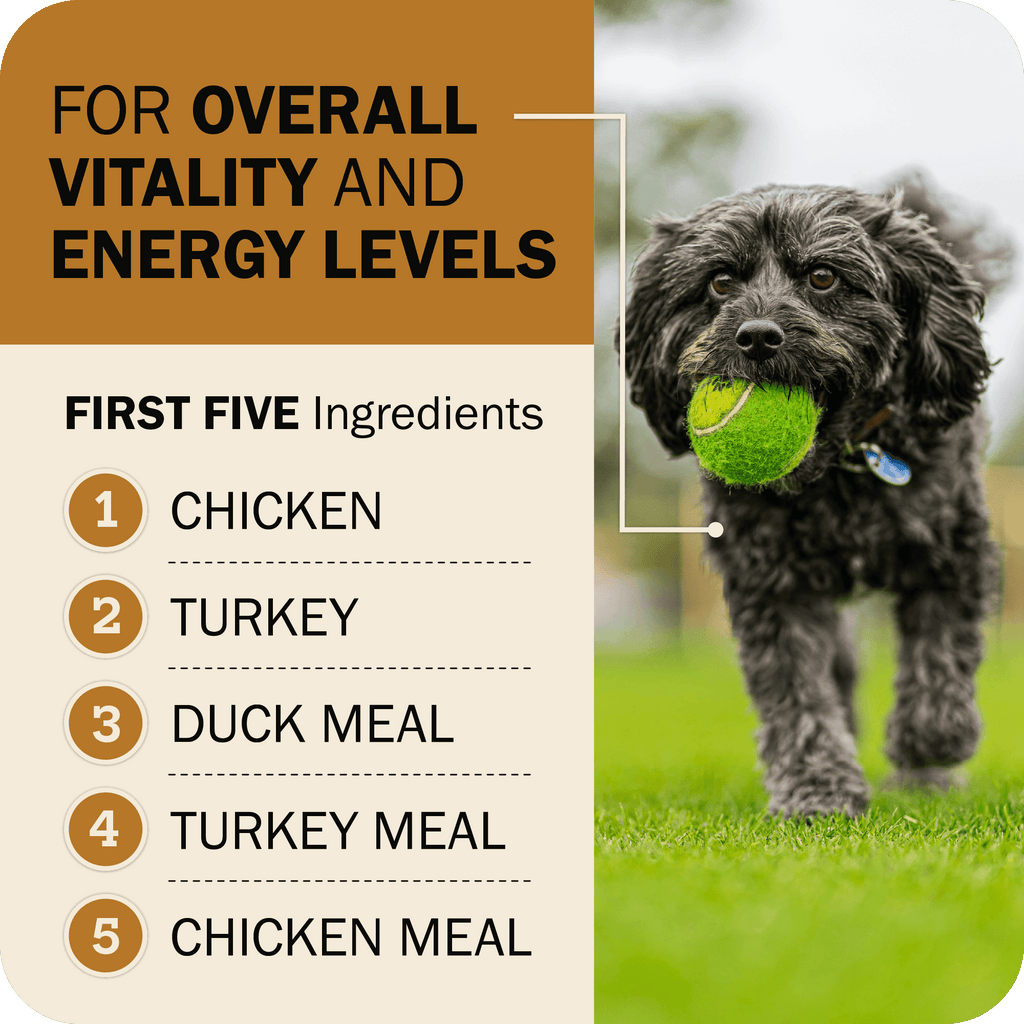 Grain-Free Dog Food product image 4