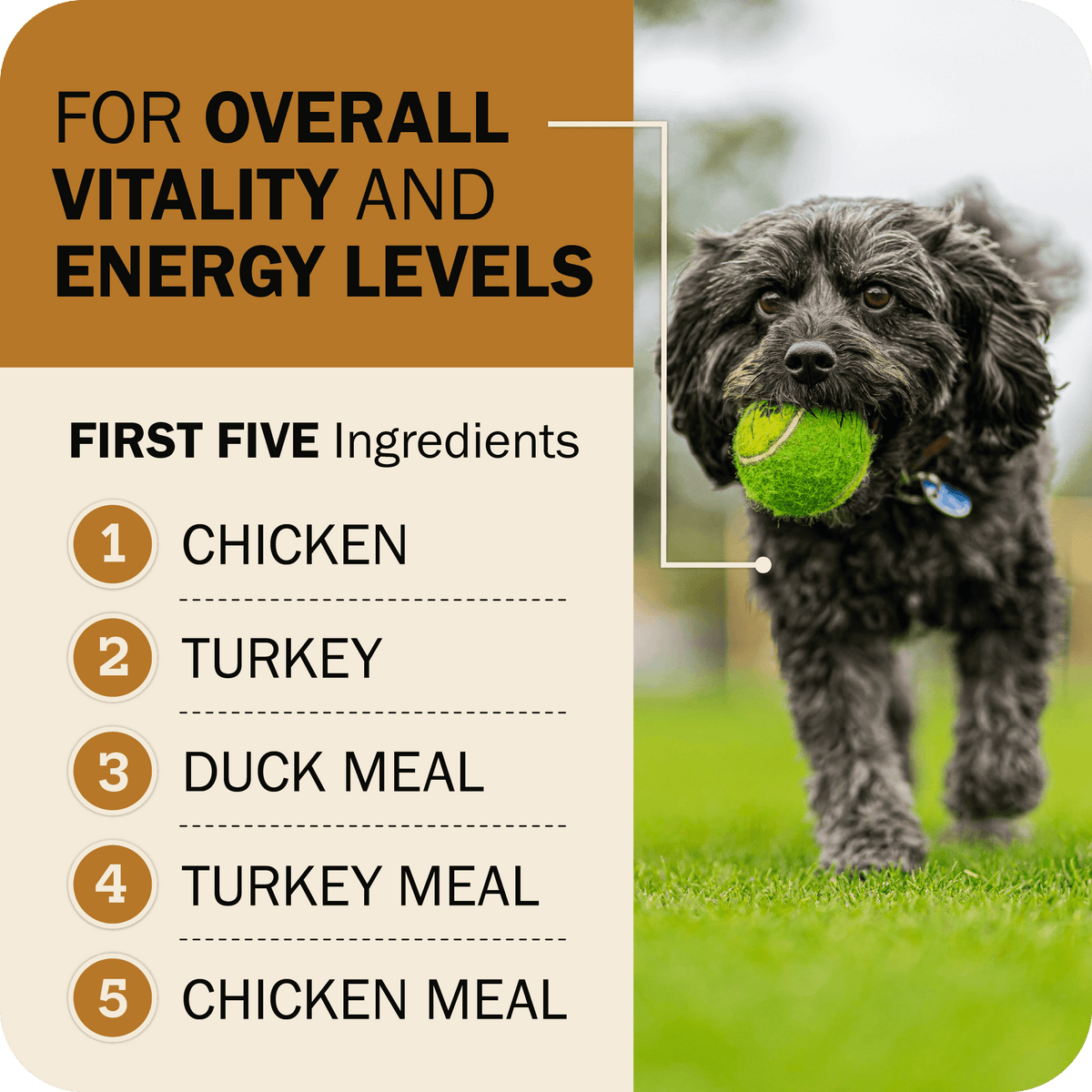 Grain-Free Dog Food product image 4