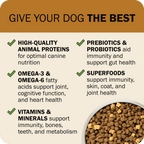 Grain-Free Dog Food product image 7