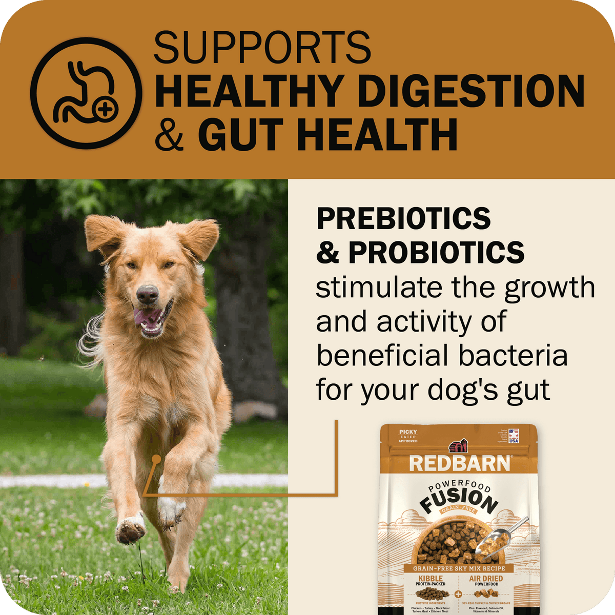 Grain-Free Dog Food product image 9