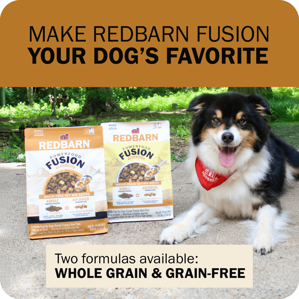 Grain-Free Dog Food product image 10