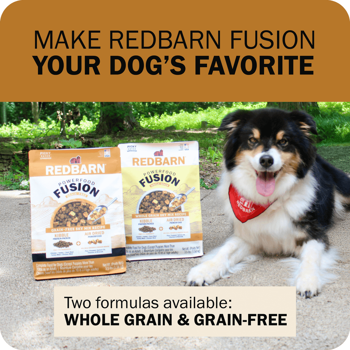 Grain-Free Dog Food product image 10