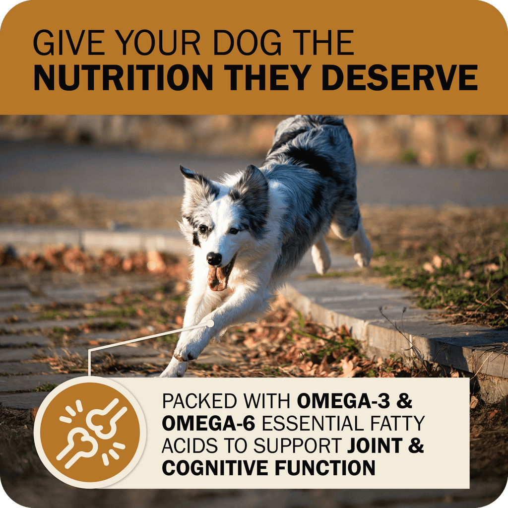 Grain-Free Dog Food product image 11