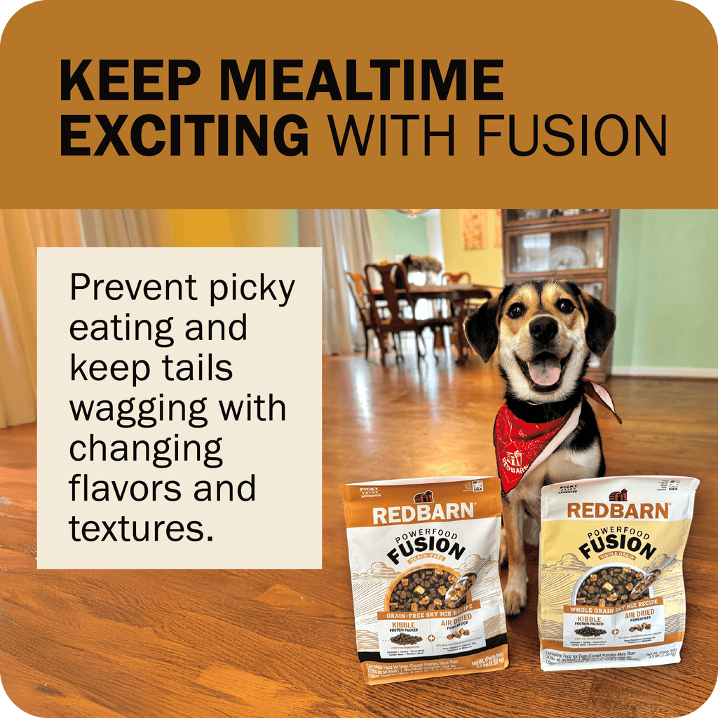 Grain-Free Dog Food product image 12