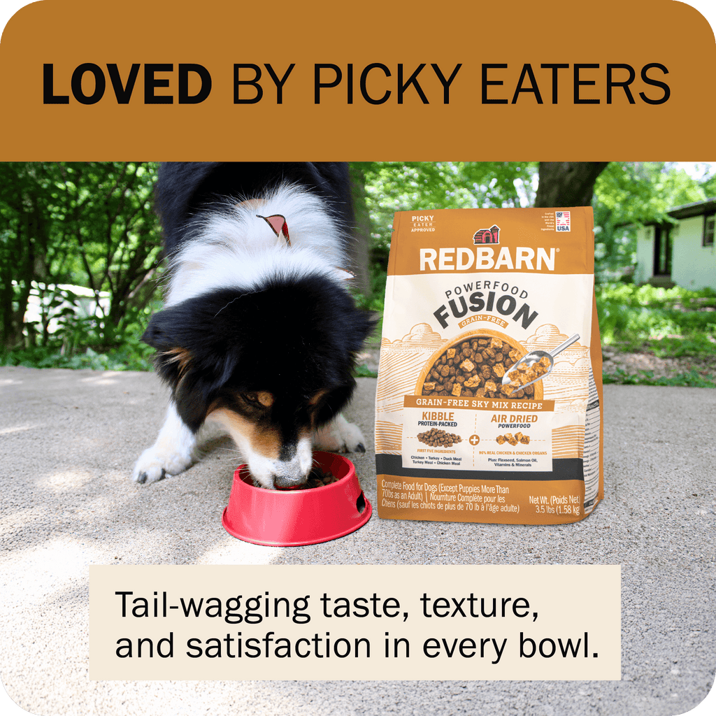 Grain-Free Dog Food product image 13