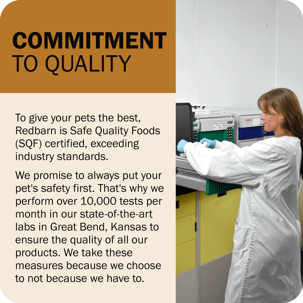 Grain-Free Dog Food product image 16