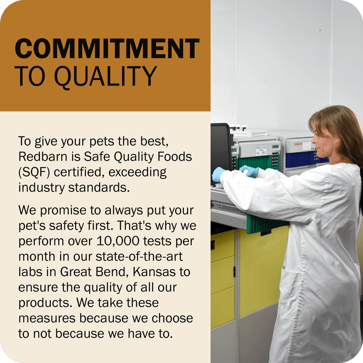 Grain-Free Dog Food product image 16