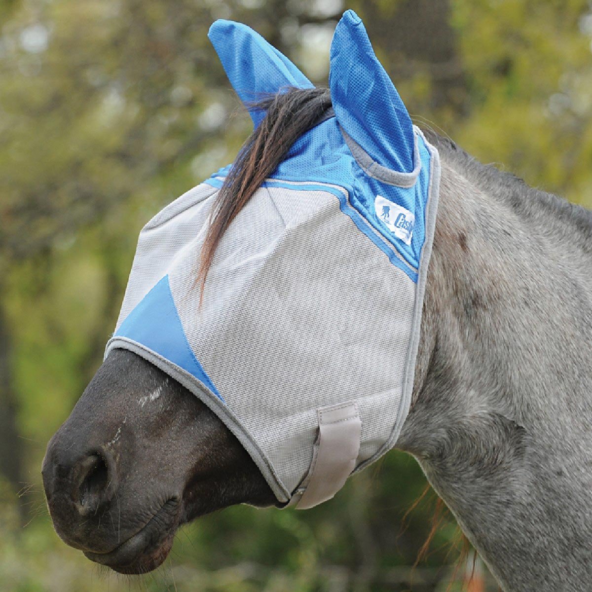 Horse Fly Mask product image 10